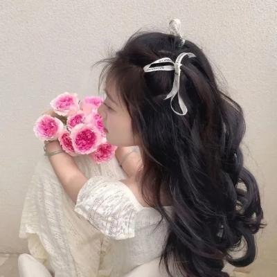 蝴蝶夫人的现代家庭